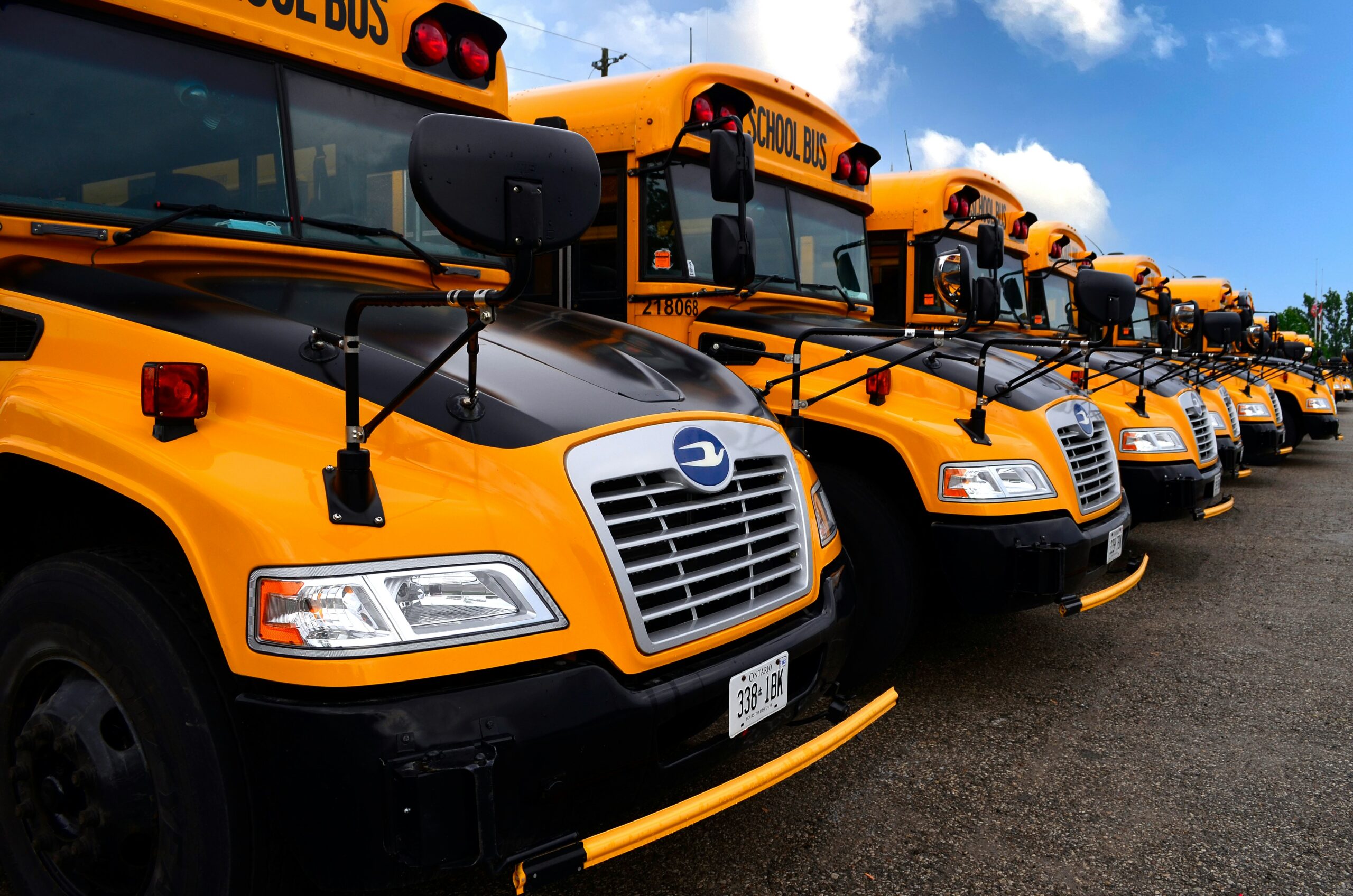 School Buses